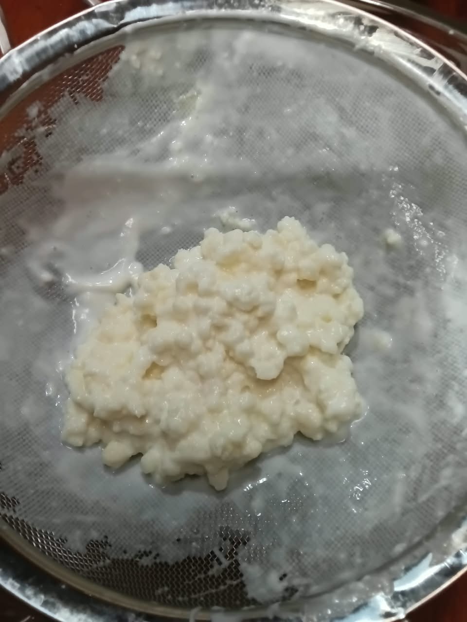 Milk Kefir Starter Kit with Fresh Kefir Grains