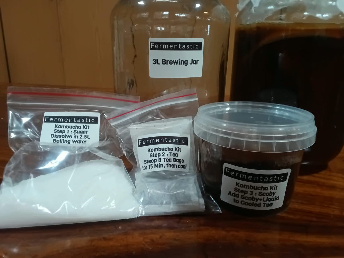 Fermentastic Kombucha Starter Kit for brewing kombucha at home