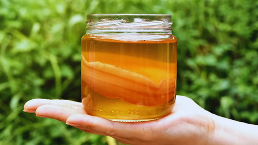 A hand holding a glass jar of amber kombucha with a SCOBY culture against a green garden background.
