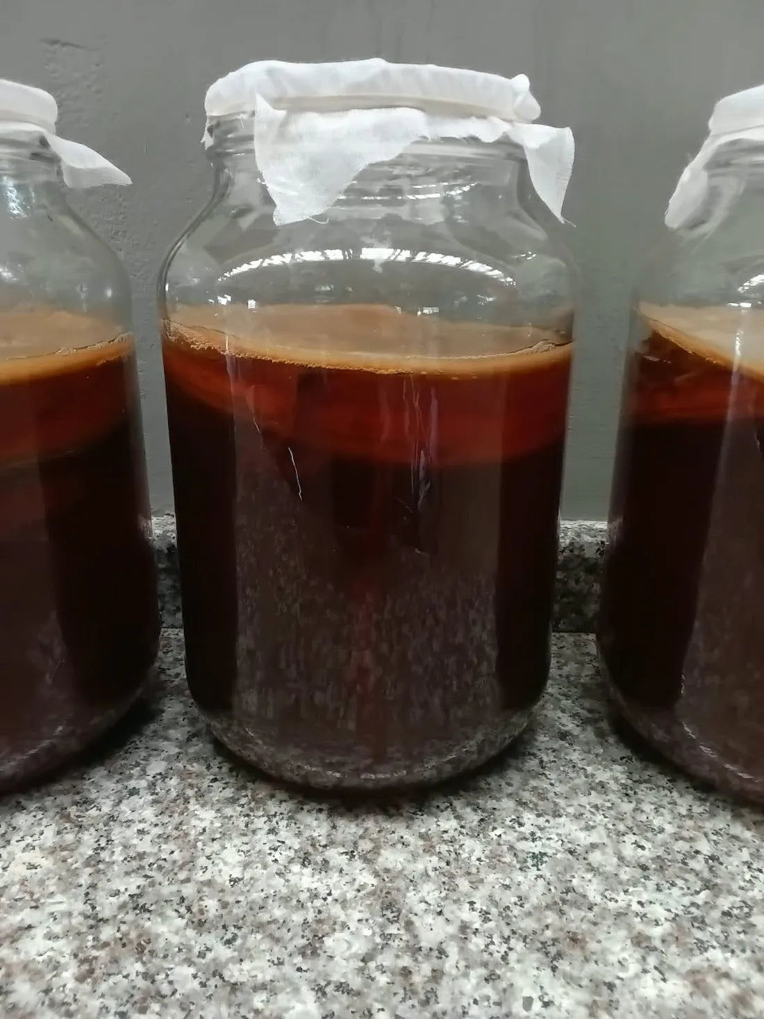 Kombucha 101: Everything You Need to Know
