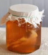 Kombucha 101: Everything You Need to Know