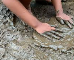 The Cleanliness Paradox: Why Being Too Clean Might Be Making You Sick