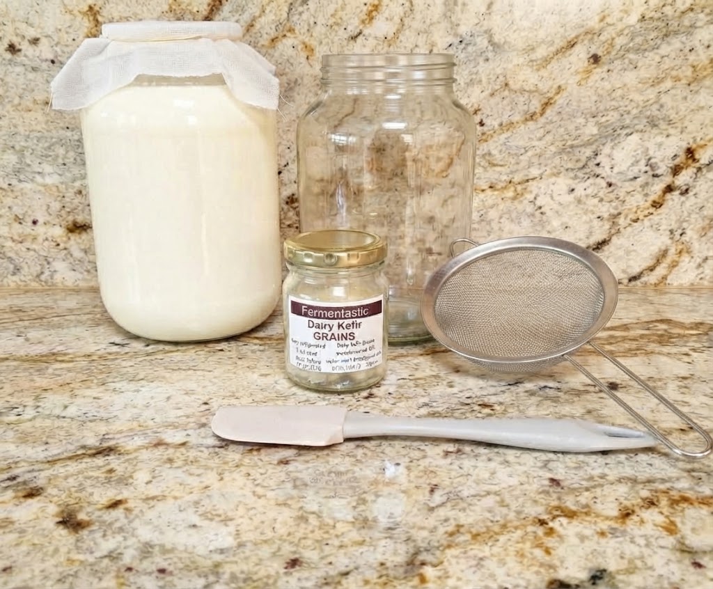 Milk Kefir Starter Kit with Fresh Kefir Grains